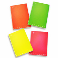 QUADERNO MAXI ONE COLOR 1 RIGO COPERTINA PVC FLUO' PZ10