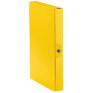 CARTELLA PROGETTO C24 GIALLO ESSELTE DORSO 4CM