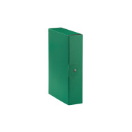 CARTELLA PROGETTO C28 VERDE ESSELTE DORSO 8CM 390328180