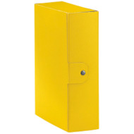 CARTELLA PROGETTO C30 GIALLO ESSELTE DORSO 10CM 390330090