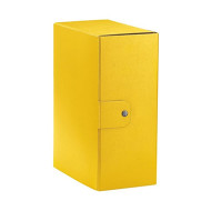 CARTELLA PROGETTO C35 GIALLO ESSELTE DORSO 15CM 390335090