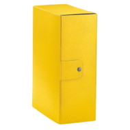 CARTELLA PROGETTO C32 GIALLO ESSELTE DORSO 12CM 390332090