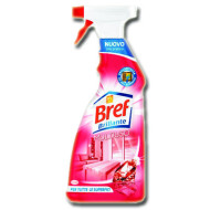 DETERGENTE BREF MULTIUSO ML750 1840340 98012 242079