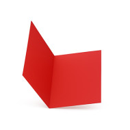 CARTELLINA SEMPLICE IN LINEA PZ50 113B BRISTOL GR 200 ROSSO