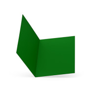 CARTELLINA SEMPLICE IN LINEA PZ50 113B BRISTOL GR200 VERDE