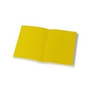 CARTELLINA SEMPLICE IN LINEA PZ50 113B BRISTOL GR200 GIALLO