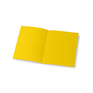 CARTELLINA SEMPLICE IN LINEA PZ50 113B BRISTOL GR200 GIALLO