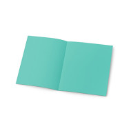 CARTELLINA SEMPLICE IN LINEA PZ50 113B BRISTOL GR200 AZZURR