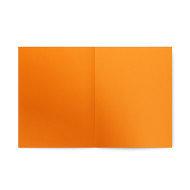 CARTELLINA SEMPLICE IN LINEA PZ50 113B BRISTOL GR200 ARANC
