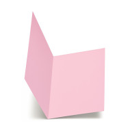 CARTELLINA SEMPLICE IN LINEA PZ50 113B BRISTOL GR200 FUCSIA