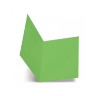 CARTELLINA SEMPLICE IN LINEA PZ50 113B BRISTOL GR200 PISTAC