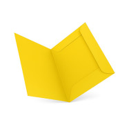 CARTELLA 3 LEMBI IN LINEA PZ25 112B BRISTOL GR200 GIALLO